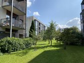 Išnuomojamas jaukus 2 k. 44m² butas pirmame - nuotraukos Nr. 15