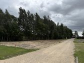 Panevėžio raj. (Tičkūnų km., Smėlynės g. - nuotraukos Nr. 3