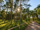 Parduodami jaukūs ir išskirtinio išplanavimo - nuotraukos Nr. 22
