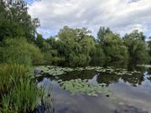 Kompaktiškas naujos statybos butas nuomai - nuotraukos Nr. 19
