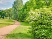 Parduodamas jaukiai ir tvarkingai įrengtas 45 - nuotraukos Nr. 31
