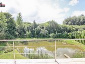 Parduodamas labai geroje vietoje naujos - nuotraukos Nr. 24