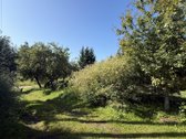 Parduodama su meile puoselėta sodyba - nuotraukos Nr. 10