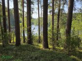 Parduodamas 15,2 ha ploto Trilypio ežeras ir - nuotraukos Nr. 2