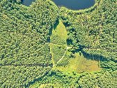 Parduodamas 15,2 ha ploto Trilypio ežeras ir - nuotraukos Nr. 6