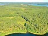 Parduodamas 15,2 ha ploto Trilypio ežeras ir - nuotraukos Nr. 11