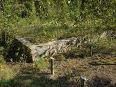 Parduodama išskirtinė sodybvietė ant Asalnų - nuotraukos Nr. 13