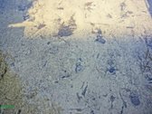 Parduodama išskirtinė sodybvietė ant Asalnų - nuotraukos Nr. 17
