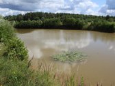 Sklypų Masyvas Stanionių K., Panevėžio R. Sav. - nuotraukos Nr. 6