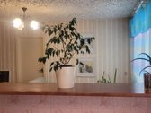 Išnuomojame šeimai 3 k. butą centre, - nuotraukos Nr. 4