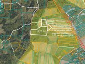 Parduodamas 37,82 ha išpuoselėtas miško - nuotraukos Nr. 9