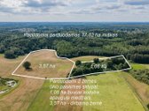 Parduodamas 37,82 ha išpuoselėtas miško - nuotraukos Nr. 8