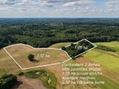 Parduodamas 37,82 ha išpuoselėtas miško - nuotraukos Nr. 7