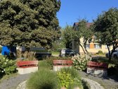Ramioje Vietoje, Gamtos Apsuptyje, - nuotraukos Nr. 17