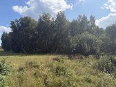 Jauki sodyba 10 km nuo Druskininkų – gamtos - nuotraukos Nr. 6