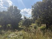 Jauki sodyba 10 km nuo Druskininkų – gamtos - nuotraukos Nr. 7