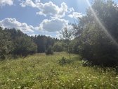 Jauki sodyba 10 km nuo Druskininkų – gamtos - nuotraukos Nr. 23