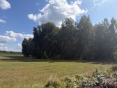 Jauki sodyba 10 km nuo Druskininkų – gamtos - nuotraukos Nr. 27