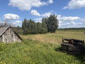 Jauki sodyba 10 km nuo Druskininkų – gamtos - nuotraukos Nr. 28
