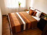 Išnuomojamas Gražus 2 Kambarių Butas - nuotraukos Nr. 6