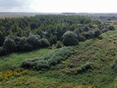 Parduodamas didelis 2,89 ha žemės ūkio - nuotraukos Nr. 7