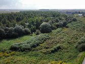 Parduodamas didelis 2,89 ha žemės ūkio - nuotraukos Nr. 9