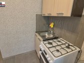 Išnuomojamas naujai suremontuotas 1-no - nuotraukos Nr. 13