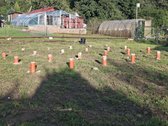 Parduodamas Sodo Sklypas Su Namu - nuotraukos Nr. 5