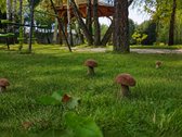 Parduodamas Išskirtinis Sklypas Galgiuose, - nuotraukos Nr. 9