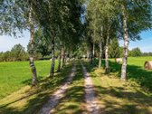 Išskirtinė 3,2 Ha Sodyba Šalia Švėkšnos – - nuotraukos Nr. 24