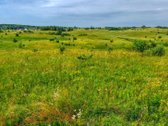 Sodybai Tinkamas Sklypas Prie Pat Pilaitės – - nuotraukos Nr. 11