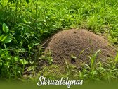 Istorinė Šeimaties Mokykla – Vieta, Kurią - nuotraukos Nr. 22