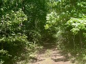 Istorinė Šeimaties Mokykla – Vieta, Kurią - nuotraukos Nr. 24