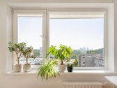 Parduodamas 3 Kambarių Butas Pilaitėje Su - nuotraukos Nr. 11