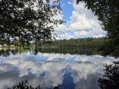 Parduodama Sodyba Su 13,17 Ha Sklypu (9,20 Ha - nuotraukos Nr. 13