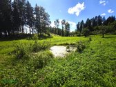 Parduodama rąstinė sodyba su vaizdingu ir - nuotraukos Nr. 11