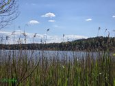 12 Ha Sklypas Su 200 Metrų Švento Ežero - nuotraukos Nr. 3