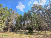 12 Ha Sklypas Su 200 Metrų Švento Ežero - nuotraukos Nr. 5