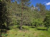 12 Ha Sklypas Su 200 Metrų Švento Ežero - nuotraukos Nr. 7