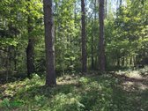 12 Ha Sklypas Su 200 Metrų Švento Ežero - nuotraukos Nr. 8