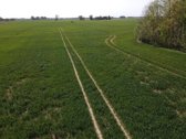 Parduodamas 5,64 ha žemės sklypas Jurbarko - nuotraukos Nr. 3
