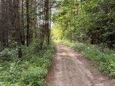 Sklypas pušyne. Kaina 20000 eur. - nuotraukos Nr. 4
