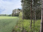 Sklypas pušyne. Kaina 20000 eur. - nuotraukos Nr. 5
