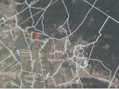 Sklypas pušyne. Kaina 20000 eur. - nuotraukos Nr. 9