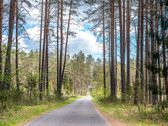 Stulbinančio privatumo ir ramybės apsuptyje - nuotraukos Nr. 6