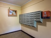 Ramioje ir žalumos apsuptoje Šiltnamių g., - nuotraukos Nr. 13