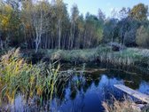 Parduodamas 8,9318 hektaro žemės sklypas su - nuotraukos Nr. 18