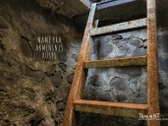 Parduodama 3,16 Ha Sodyba Šalia Bobio Ir - nuotraukos Nr. 15