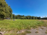 Parduodamas 8,9318 hektaro žemės sklypas su - nuotraukos Nr. 9