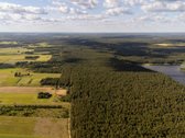Pamatai gręžtiniai su rostverku, medinis - nuotraukos Nr. 25